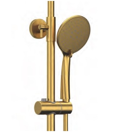 Set doccia a leva singola INVERTER R ORO