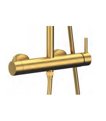 Set doccia a leva singola INVERTER R ORO