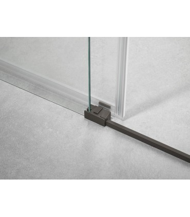 Schermo doccia 2 fissi + 2 scorrevoli BASIC TITANIO