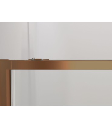 Box doccia angolare 2 fissi + 2 scorrevoli TWENTY RAME