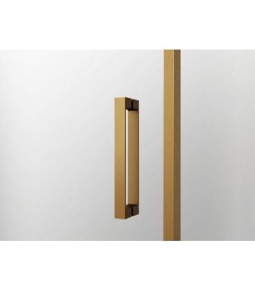 Box doccia angolare 2 fissi + 2 scorrevoli TWENTY ORO