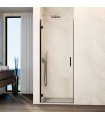 Box doccia con 1 porta battente GLASS con cerniera su profilo TITANIO