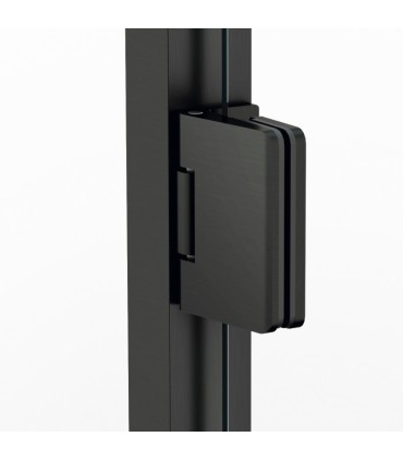 Box doccia con 1 porta battente GLASS con cerniera su profilo TITANIO