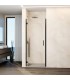 Box doccia 1 porta battente GLASS con cerniera su profilo e chiusura su profilo TITANIO