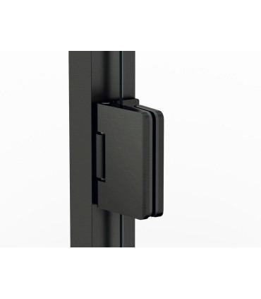 Box doccia con 2 ante battenti GLASS TITANIO