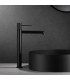 Rubinetto per lavabo con canna alta LINE Nero Opaco
