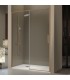 Box doccia frontale fisso + scorrevole DELTA Bronzo Spazzolato