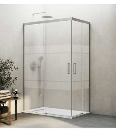 Box doccia 2 fissi +2 scorrevoli BASIC NICHEL ad angolo