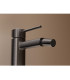 Rubinetto Monocomando per Bidet FIRENZE Black gun metal
