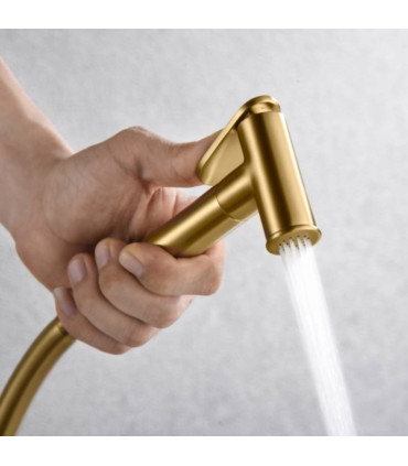 Doccia Igienica per Bidet con rubinetto incassato GENOVA Oro